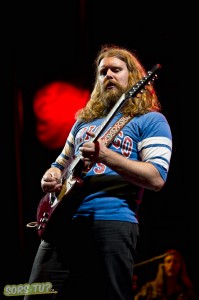 SheepDogs2