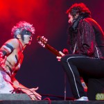 m-mathieu-chedid-quebec-2013-12