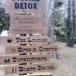 outside-lands-2013-detox