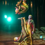 varekai-Montreal-2013-5
