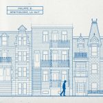 ornithologie_la_nuit