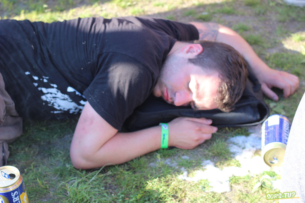 governors-ball-2014-specimen1