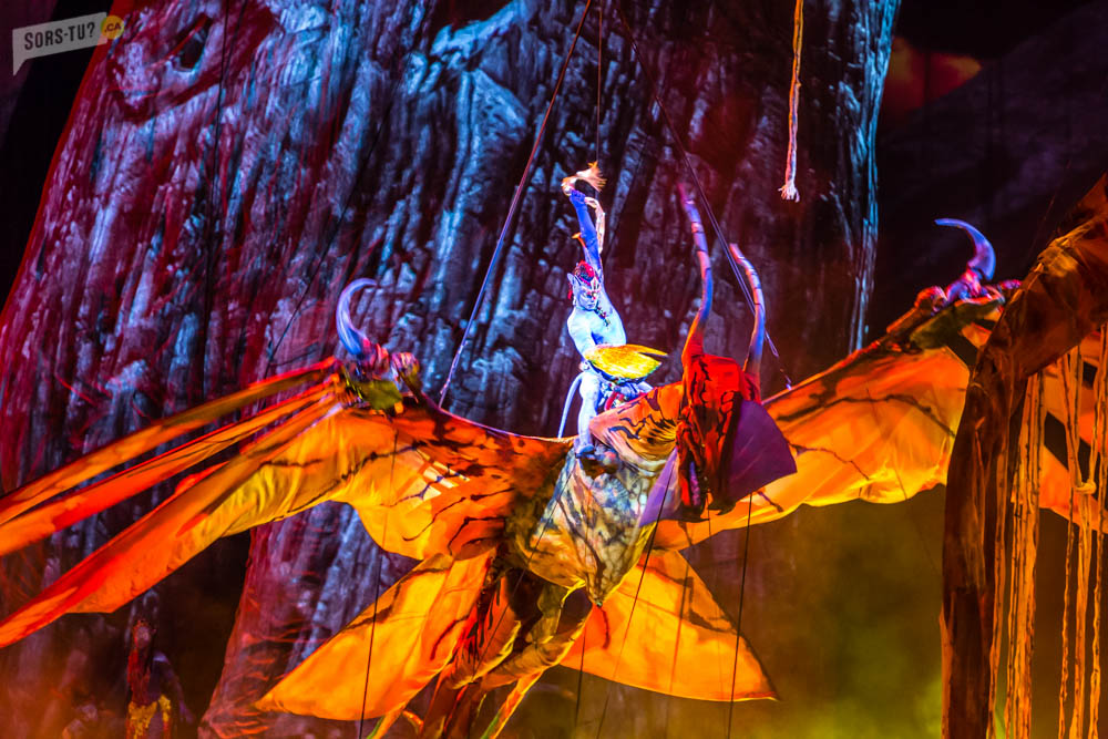 Cirque du Soleil - TORUK - Le premier envol Montréal 2015 Centre Bell ...