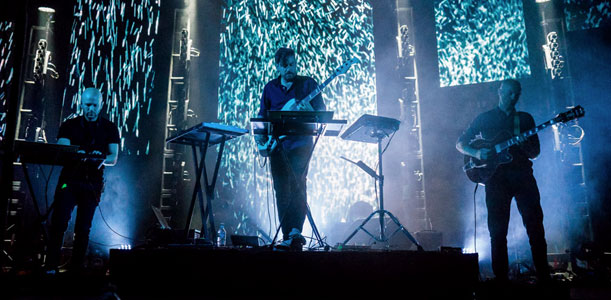 Bonobo
