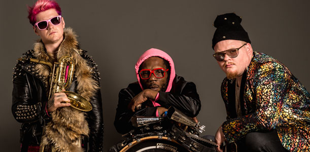 Too Many Zooz
