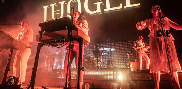 Jungle