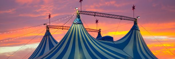 Cirque du Soleil - Alegria