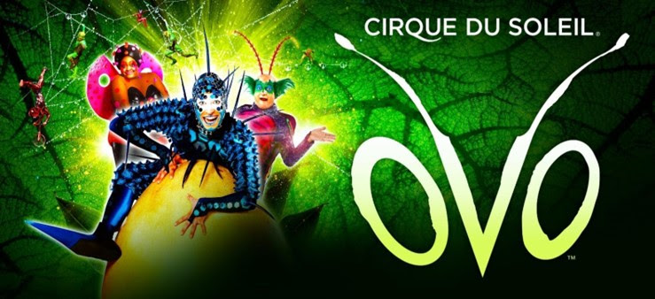 Cirque du Soleil - OVO