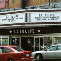 La Tulipe